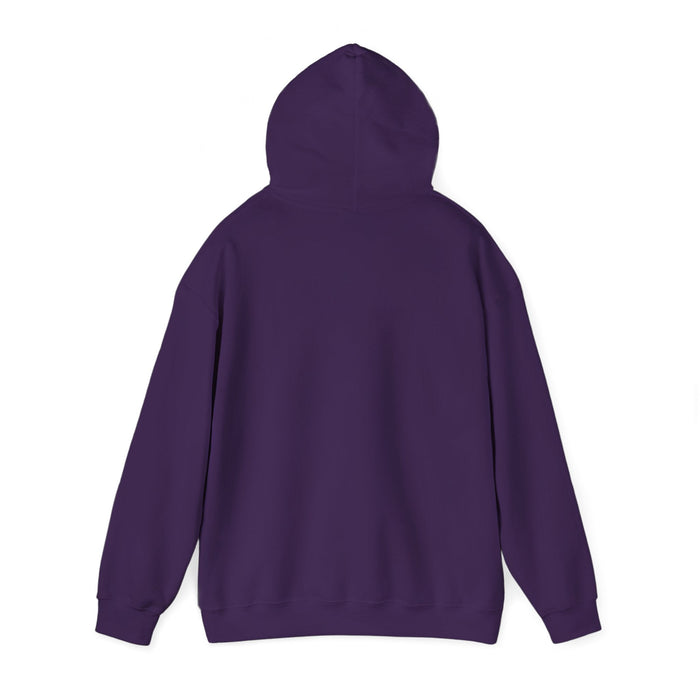 DARE Drift Cars Are Really Expensive Hoodie in more colors